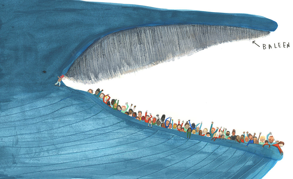 The Blue Whale, by Jenni Desmond