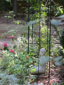 Chapel Hill garden
