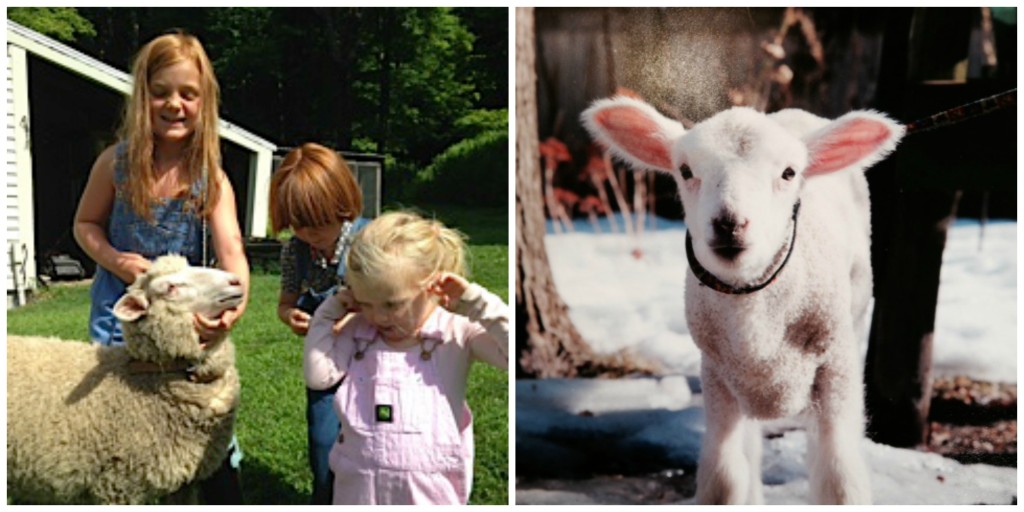 Jane's grandkids and Blossom