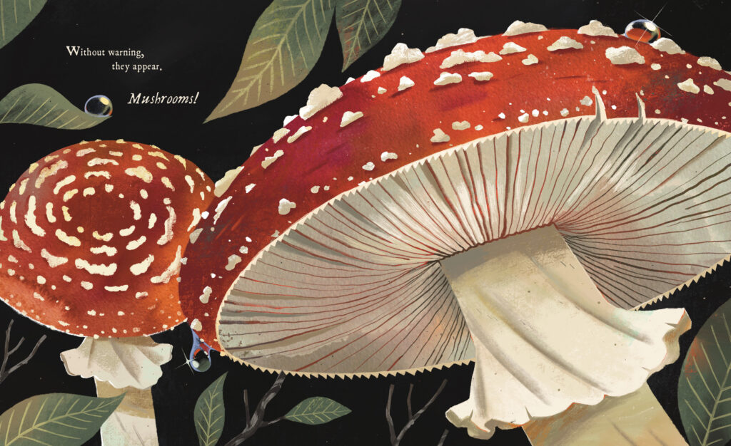 Mushroom Rain Double-Sided Bookmark – Ingrid Press