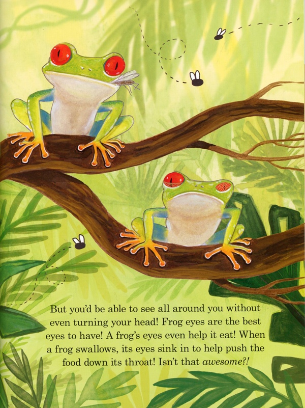 Nobody Likes Frogs, A Book of Toadally Fun Facts